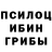 Псилоцибиновые грибы прущие грибы Glutamin Creatin