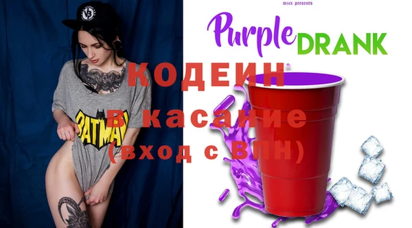 хмурый Каменногорск