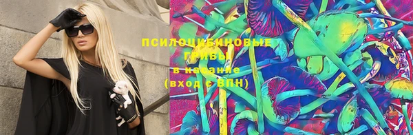 ECSTASY Каменск-Шахтинский